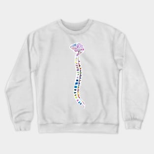 Funfetti Brain and Spine (White background) Crewneck Sweatshirt
